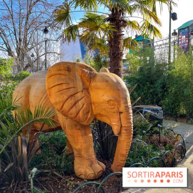 Square de la Jungle - nos photos