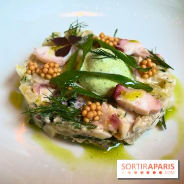 Kalank - Salade fenouil et poulpe