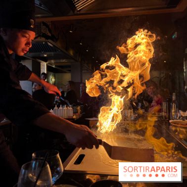 Benihana - Teppanyaki