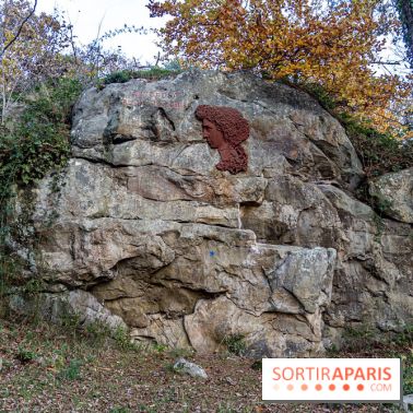 Randonnée à Fontainebleau : le sentier sur les pas de Denecourt jusqu’à la Tour Denecourt -  A7C7554