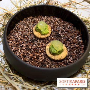 Campelli - Tartelette menthe estragon, piment