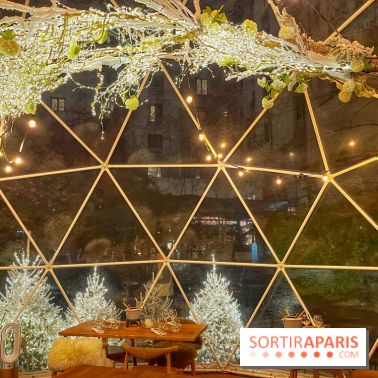 Bulle d'Hiver - Novotel Paris Les Halles - IMG 8584