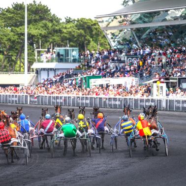 Bon plan : Rencontrez Miss France 2025 à l’Hippodrome Paris-Vincennes  - 20220626ELLI002142
