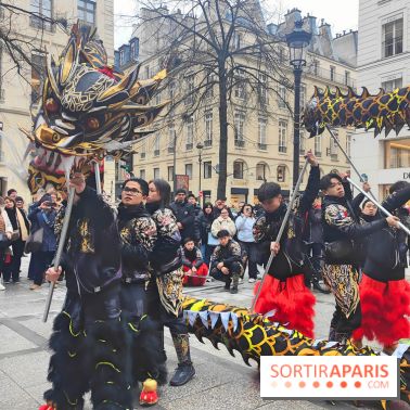 Défilé du Nouvel An Lunaire-Chinois Faubourg Saint-Honoré  - fotor 1738762270959