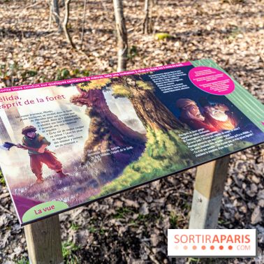 Balade sentier : Conte de Mélida, l'esprit de la forêt en forêt de Méridon (78)