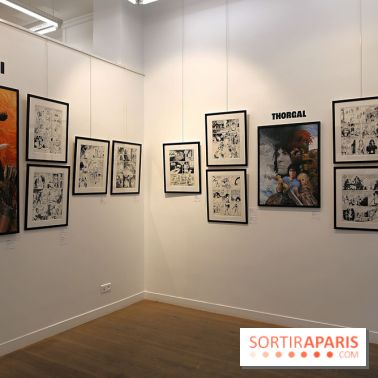 Rétrospective Grzegorz Rosinski, nos photos de l'expo gratuite à Paris - Expo Thorgal 18 fotor 20250425115835