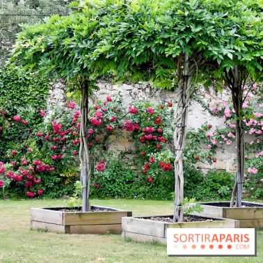 Maison Blanche le restaurant gastronomique du Mesnil Saint-Denis (93) - IMG 1038