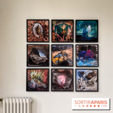 Exposition de Fred Atlan à la galerie Rachel Hardouin : au creux de mes paupières - IMG 5715