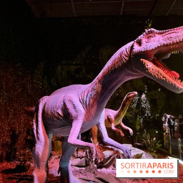 Dinos Alive - IMG 2907