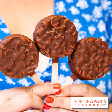 Les bouchées glacées de la Chocolaterie William Artigue, les esquimaux gourmands - A7C04178