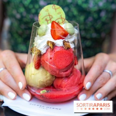 Les glaces et coupes glacées de Pierre Hermé pour l'été  - A7C04943