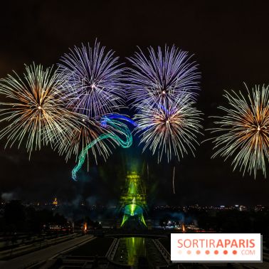 Le feu d’artifice du 14 juillet 2025 de Paris - les photos
