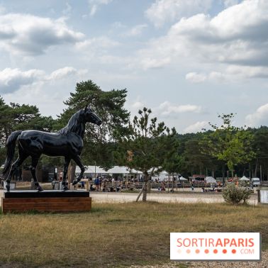 Le Grand Parquet Fontainebleau - photos  - A7C02547