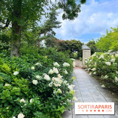 Square Eugénie Djendi - nos photos - 27729B0F A44E 4F1C B37B 417BAD0CEA02