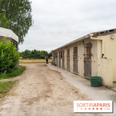 Balade en chevaux Henson en forêt de Fontainebleau  - A7C02826