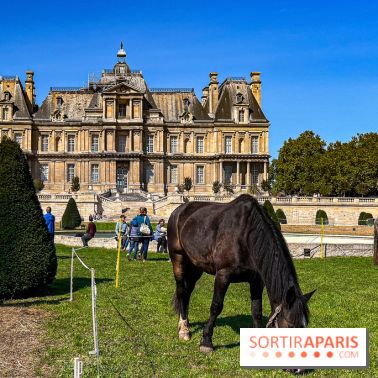 Tous en piste ! à Maisons-Laffitte (78): poneys, calèche et spectacles équestres gratuits au château - IMG 8275 jpg