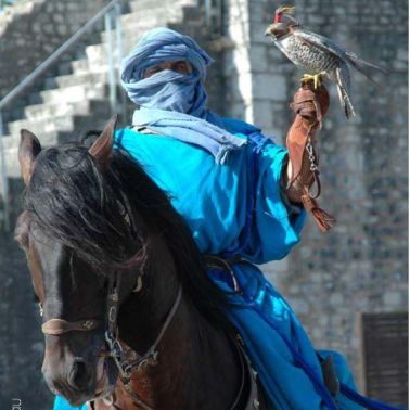 Les aigles des remparts