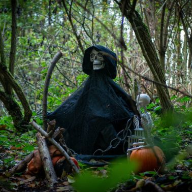 Les Forêts de la Terreur à Sherwood Parc - P1290244