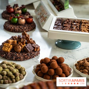 Les Bûches de Noël de Pleincœur par Maxime Frédéric 2025 et ses créations de fêtes - A7C07663