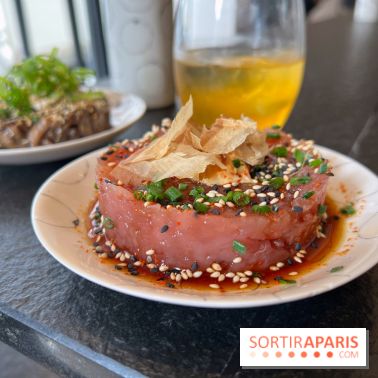 Nobisan - Tartare thon rouge