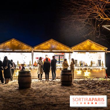 Lumières en Seine 2025, les photos du parcours de lumières - A7C00357