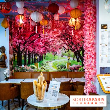 Amour du Vietnam, le restaurant Vietnamien Paris 14e - A7C01635