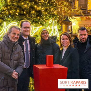 Les illuminations de Noël 2025 du Boulevard Haussmann - IMG 2302