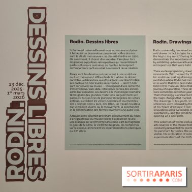 Rodin, dessins libres : une exposition d'œuvres rarement montrées au musée Rodin se dévoile