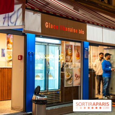 Les bûches de Noël glacées de Bachir spécial dômes parisiens