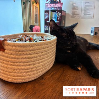 Le Chatelier  - IMG 2470