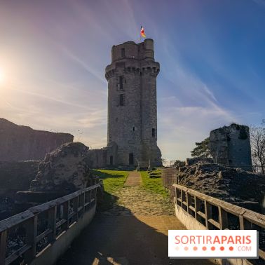 Ile-de-France : La Tour de Montlhéry au panorama unique sur l'Essonne - IMG 0597