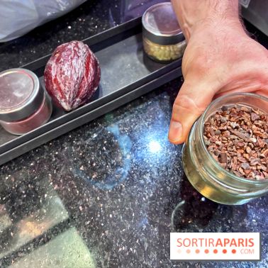 Atelier rocher praliné Edwart Chocolatier