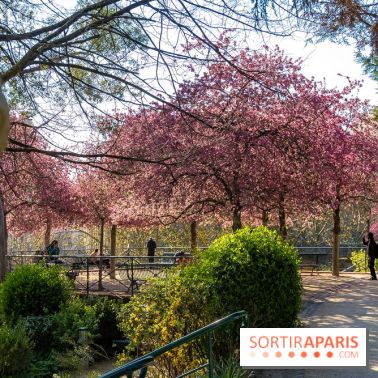 Les pommiers et cerisiers en fleurs du Jardin de Reuilly, Parc de Reuilly à Paris 12e - photos