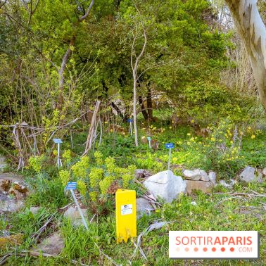 Le jardin botanique de Launay et arboretum de l'Université Paris Saclay à Orsay - les photos - A7C09556