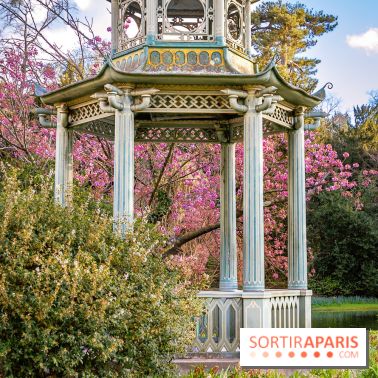 Le Parc de Bagatelle au printemps, cerisier, tulipes et jonquilles - photos