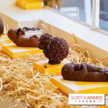 Pâques 2026, les chocolats artisanaux de Willliam Artigue à Paris - A7C09822
