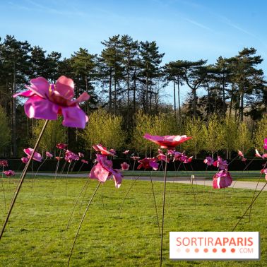 Hanami au Parc de Sceaux 2026, les cerisiers en fleurs et ses  animations