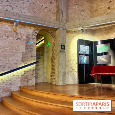 Donjon de Houdan - IMG 4802