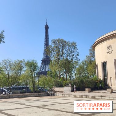 Le musée d'art moderne et ses collections à Paris