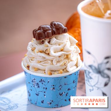 Le comptoir à glaces de Pleincœur et ses coupes glacées - photos