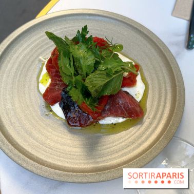 Niní Restaurant - Thonine stracciatella, poivrons