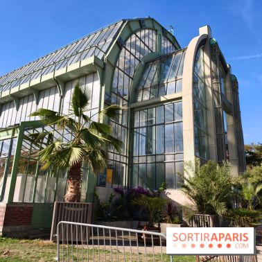 Automne tropical 2026
