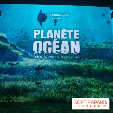 Plongez à la découverte de Planète Océan, l’exposition immersive de l’Atelier des Lumières