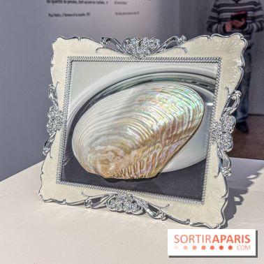 Hélène Fauquet : Vivresse, l’exposition entre bulles et coquillages à Lafayette Anticipations.