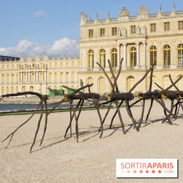 Penone au Château de Versailles, Spazio di luce | Espace de lumière
