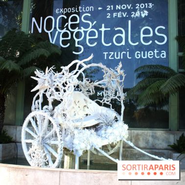 Noces Végétales au Jardin des Plantes : la calèche