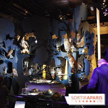 Exposition Nuit au Muséum Natinaol d'Histoire Naturelle