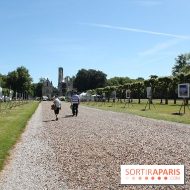 Journées de la Rose 2014
