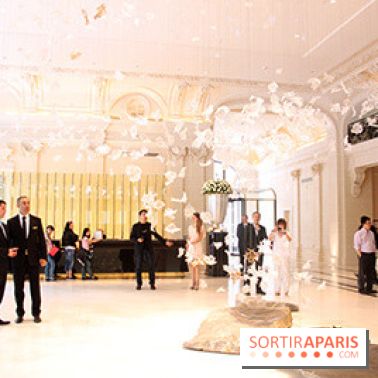 Peninsula : réception