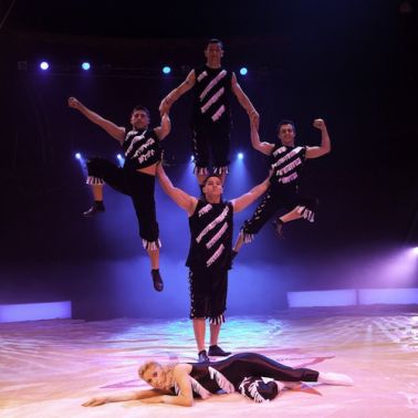 Festival international du cirque des Mureaux